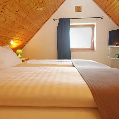 Guest house Felho Vendeghaz *